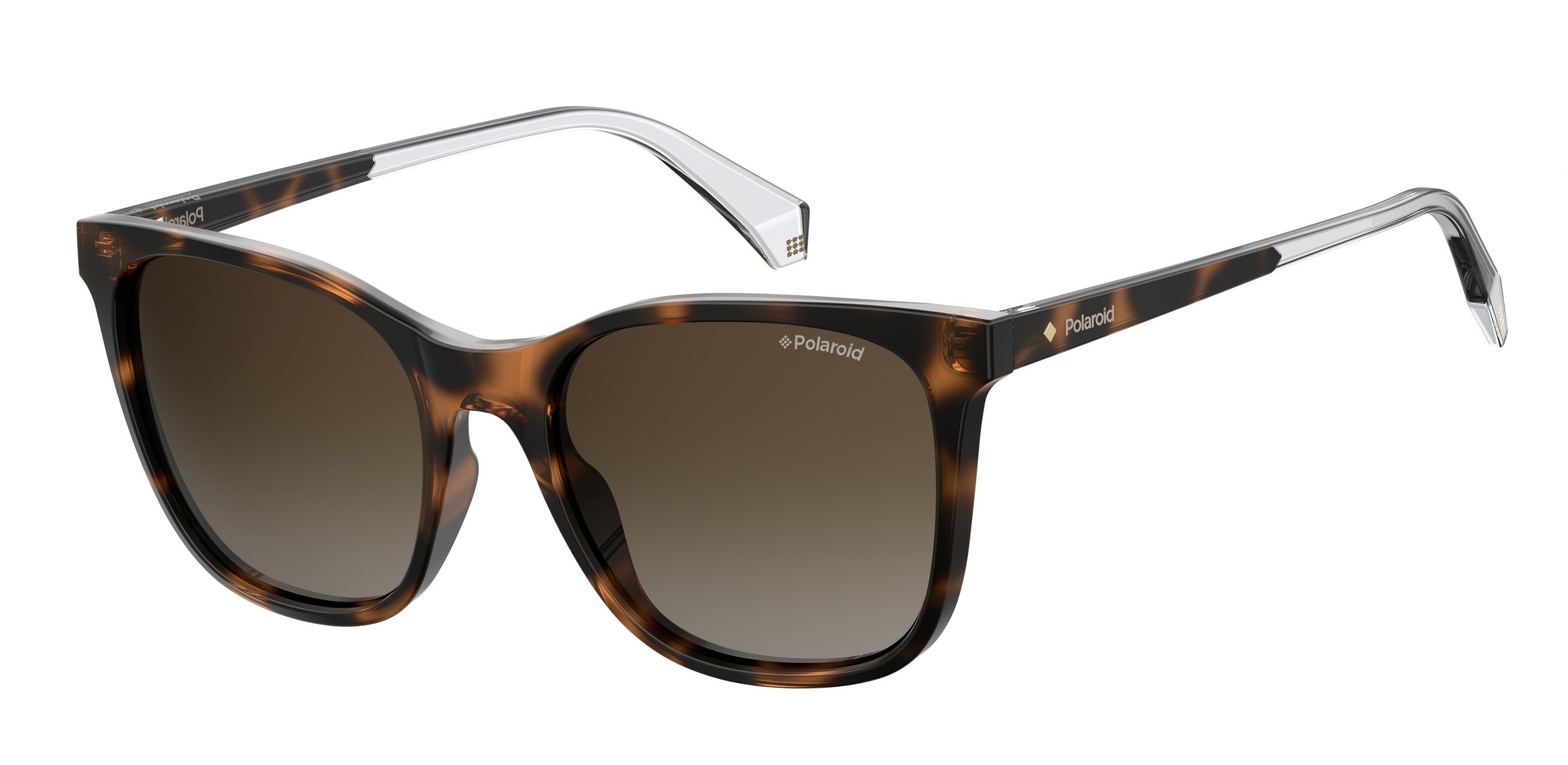 Lunettes de Soleil POLAROID PLD 4059/S 086 HAVANA 53/19/145 Femme, Marron (Dkhavana), 53