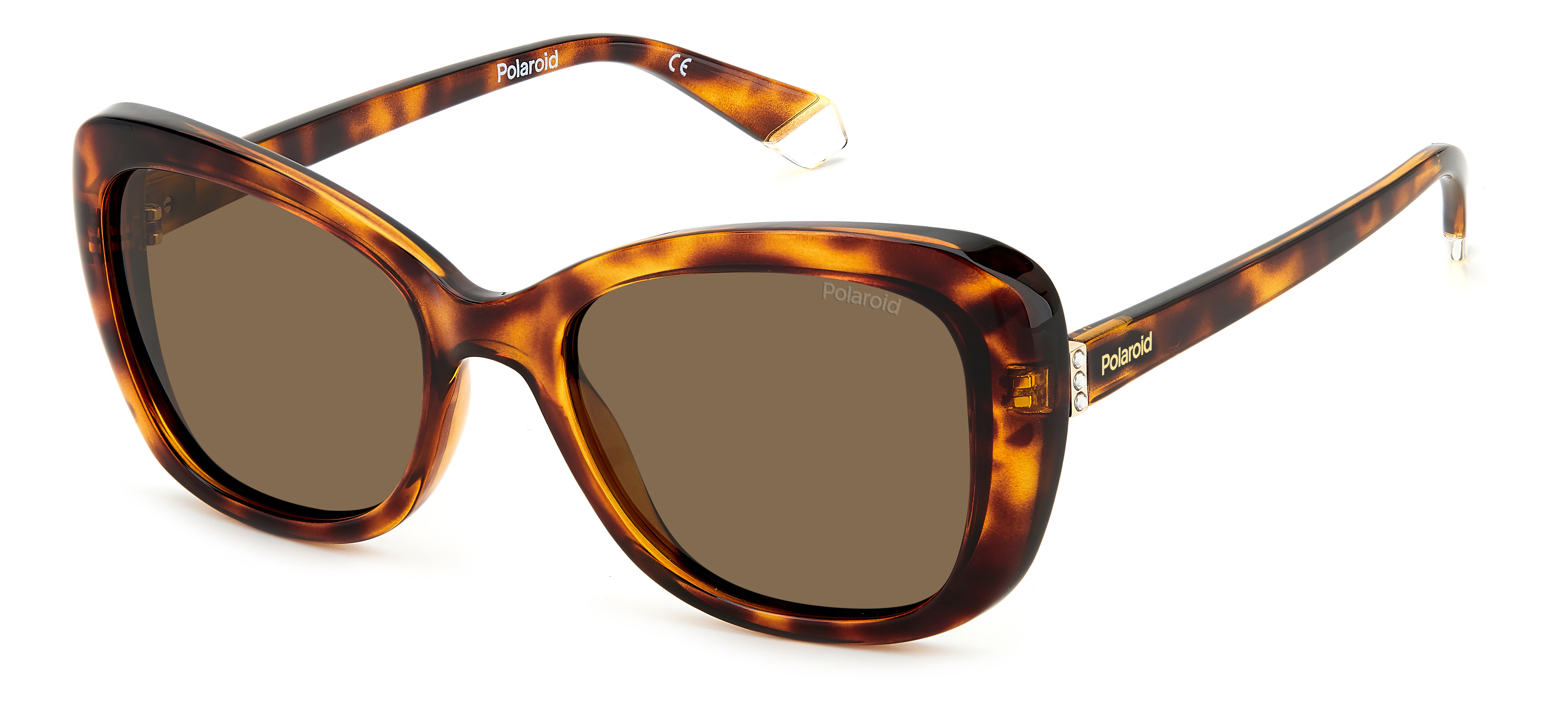 POLAROID PLD 4132/S/X 086 HAVANA 53/19/145 Women's Sunglasses | eBay
